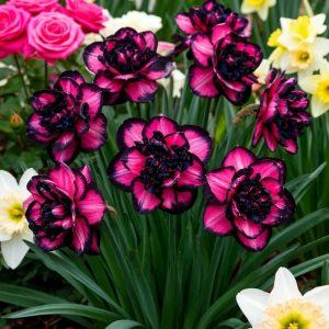 Нарцисс Золотая Корона купить по цене от 2000р. в интернет-магазине «Посадика» с доставкой почтой в в Полысаевое и по всей России – [изображение №1].